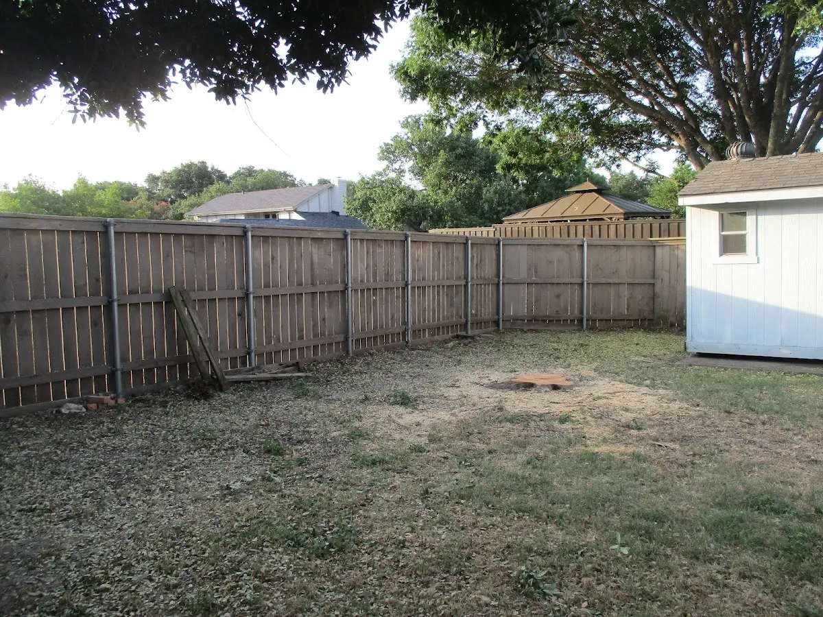 Cleared yard after professional tree removal in Ikes Fork